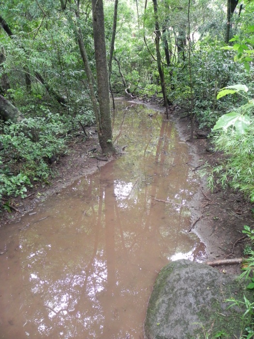 Flooded Trail